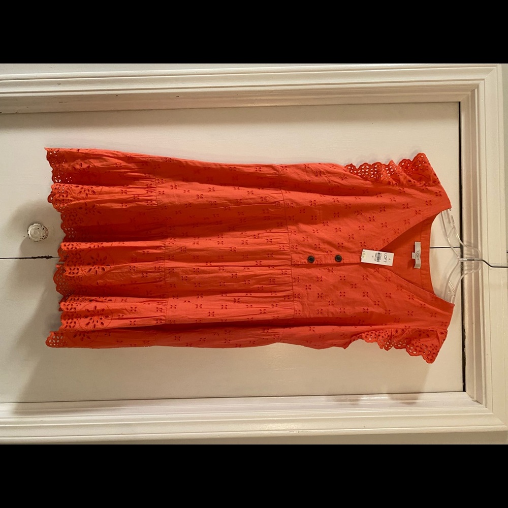 LOFT Women’s Mini dress (Brand New)